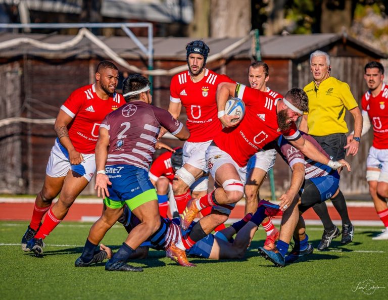 benfica divisão de honra
