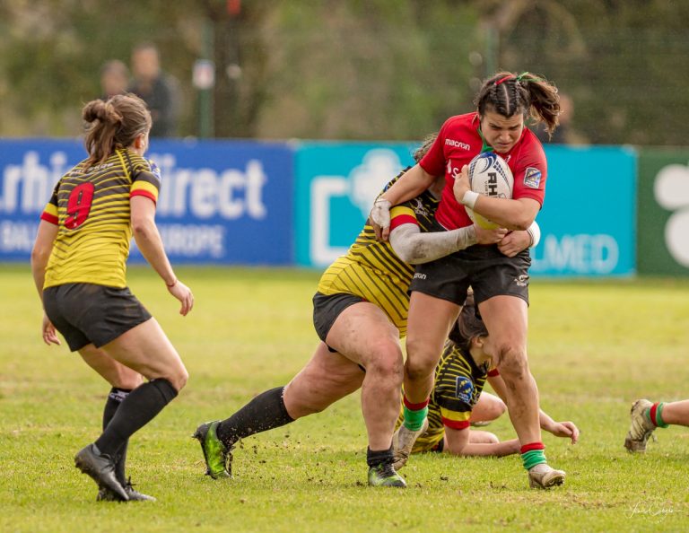 imagem: Luís Cabelo